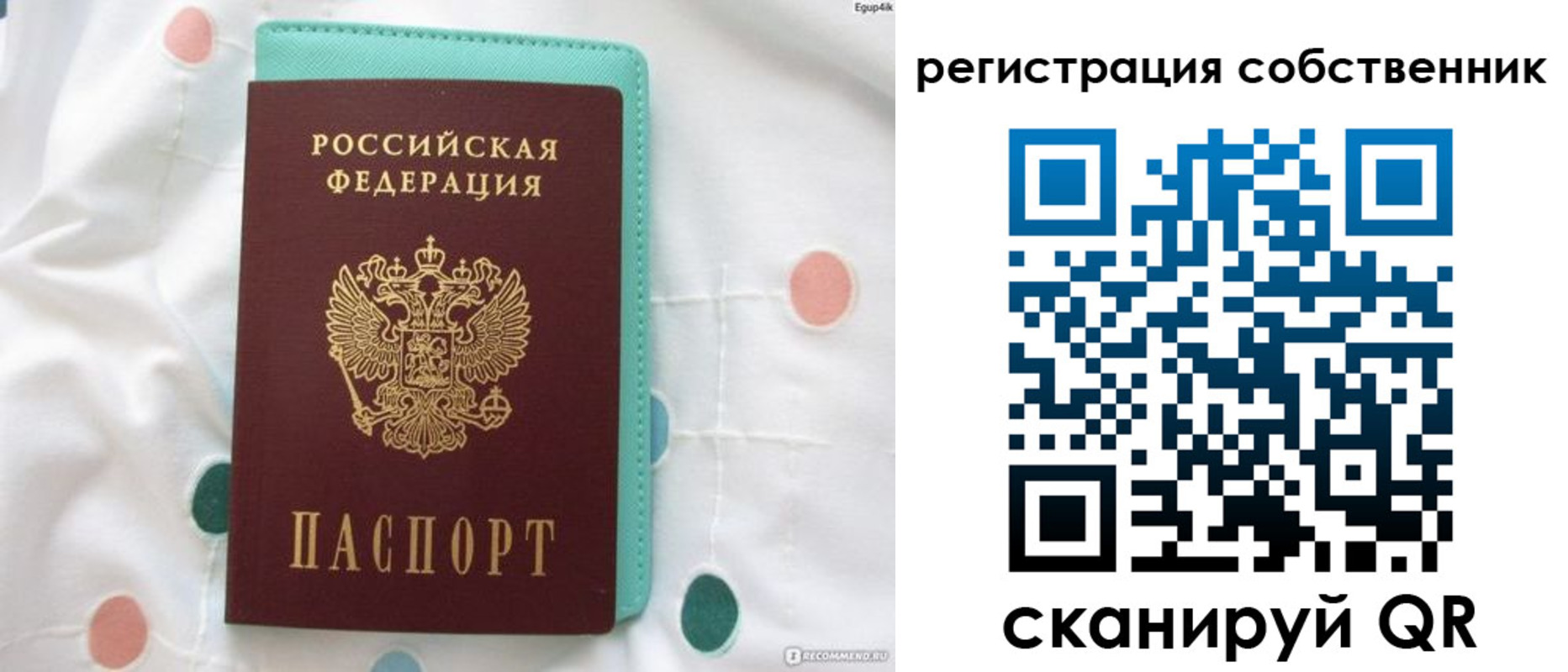 прописка для школы в Прохладном
